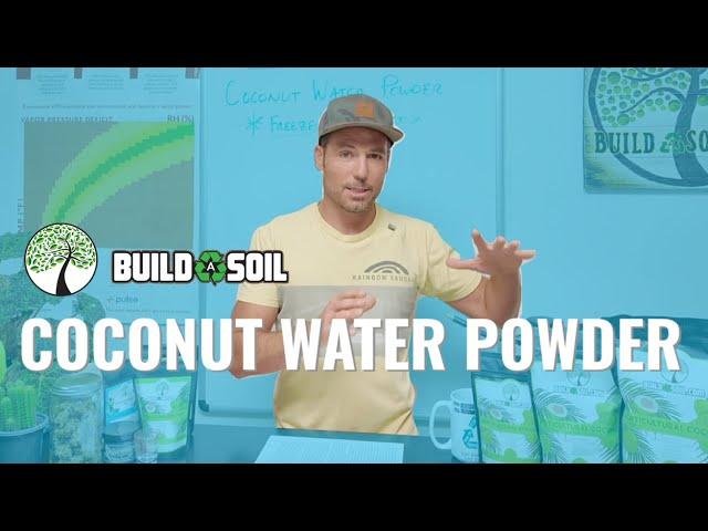 BuildASoil: BENEFITS AND USES OF COCONUT WATER POWDER (Product Highlight)