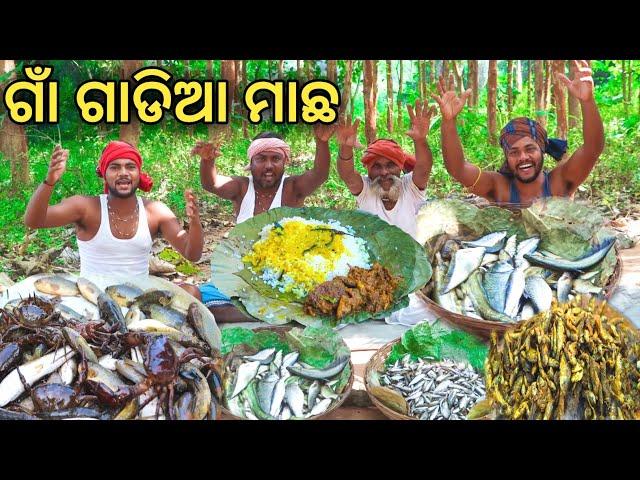 ଗାଁ ଗାଡିଆ ମାଛ ତରକାରି || Traditional Village Fish Curry Recipe || Fish Catching & Cooking in Village.