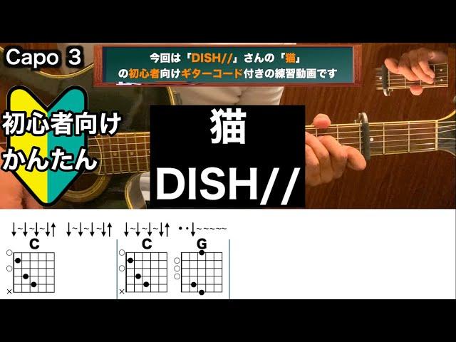 猫/DISH//ギター/コード/弾き語り/初心者向け/簡単