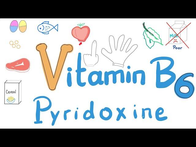 Vitamin B6 (Pyridoxine) - Diet and Nutrition Series