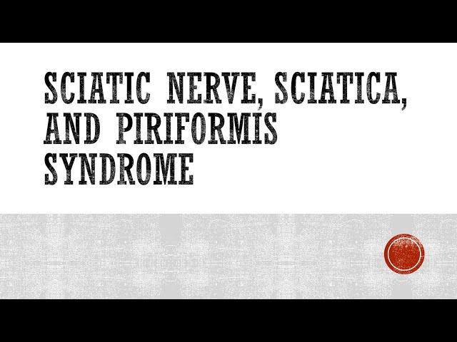 Sciatic Nerve, Sciatica, and Piriformis Syndrome