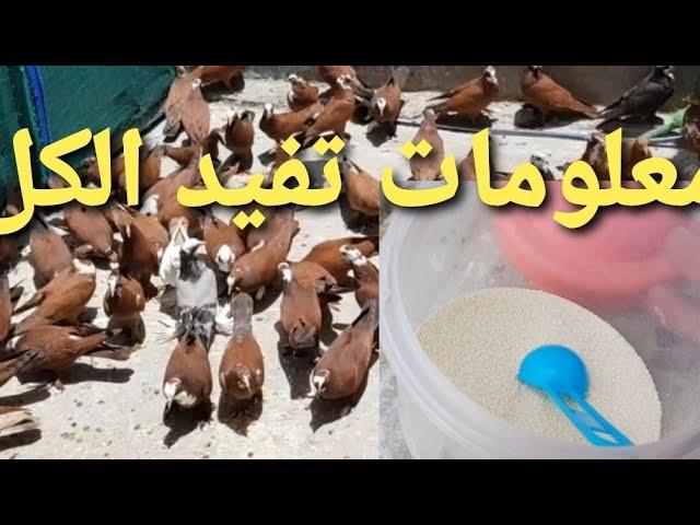 (132) يوميات سطح فارس الكربلائي تعال اخذ هاذي المعلومات تفدك