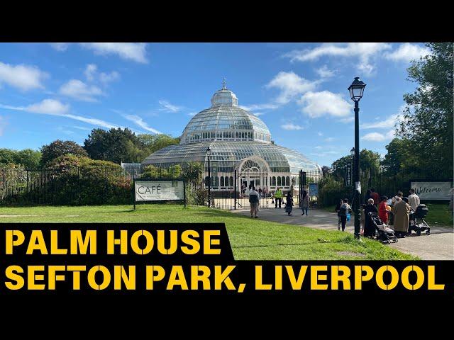 10 Things You Didn't Know About Sefton Park Palm House Liverpool | Sefton Park Palm House tour