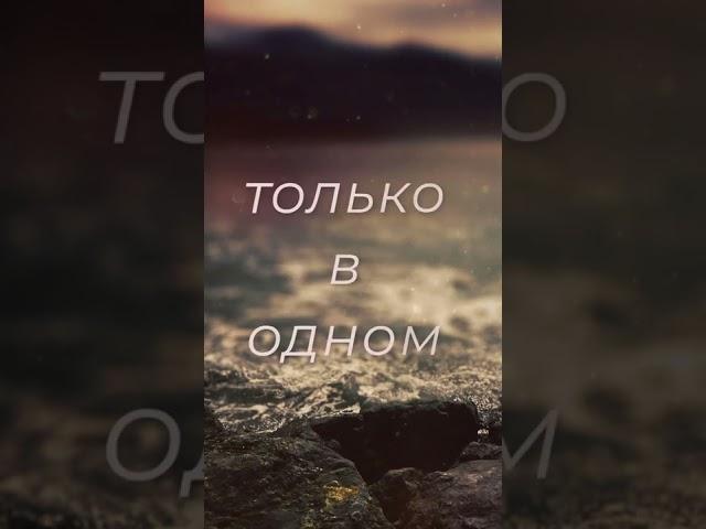 Цитаты про смысл жизни.  Слова со смыслом.  Мудрость жизни  Жизнь. #shorts