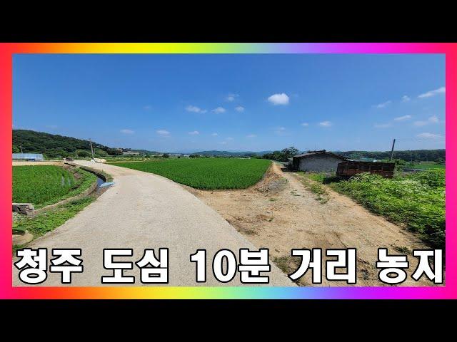 청주 토지 매매 / 1145평! 평당 25만원 농림지역 농지 매매 / 청주시 내수읍 위치 좋은 농경지 #청주토지매매 #청주농지매매 #청주부동산