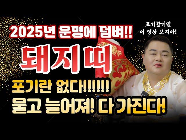 2025년 하반기 돼지띠운세 악으로 깡으로 끝까지 버텨! 금전, 재수, 대운이 쓰나미처럼 몰려온다! | 47년생 59년생 71년생 83년생 95년생 |
