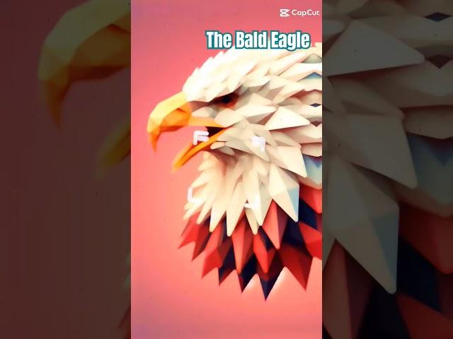 Day 59 of 2025: The Bald Eagle. #birdspecies #birds #bird #birdnerd #birdslover