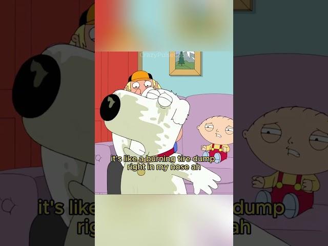 Brian gets sprayed by a skunk! #familyguy #familyguyclips #petergriffin #briangriffin