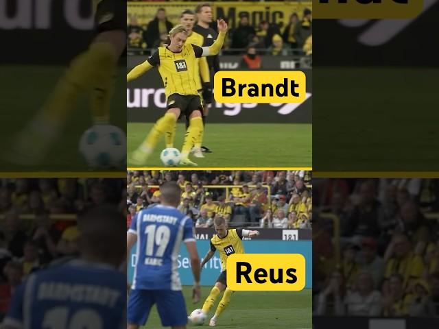 Brandt & Reus: That looks familiar