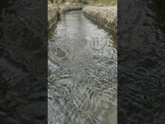 Water at Chang Nadi Hassni vlog