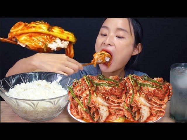 [집밥먹방] 흰쌀밥에 겉절이 하나면 됩니다 김치 레전드먹방 White Rice Kimchi Mukbang