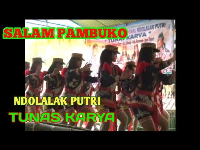 SALAM PAMBUKO | DOLALAK PUTRI TUNAS KARYA PURWOREJO