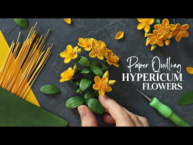 Paper Hypericum Flowers - 3D Paper Crafts - Relaxing Art