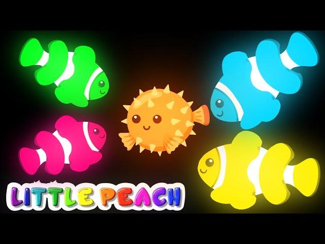 Baby Sensory | FUNKY FISH | Fun Animation with Music