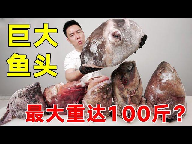 The video that more than 1000 million fans across the network want to watch most! 15 fish heads out