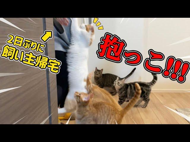 2日ぶりに飼い主と再会した猫の反応がこちら。