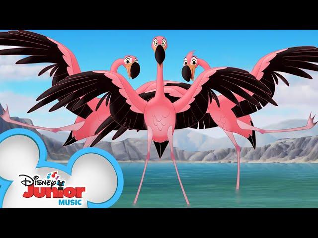 Flamingo Dance Party Music Video | The Lion Guard | Disney Junior