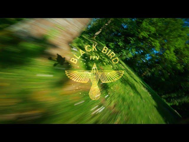 BLACK BIRD FPV - FPV FREESTYLE -  Im TOO old for this shit (never) 