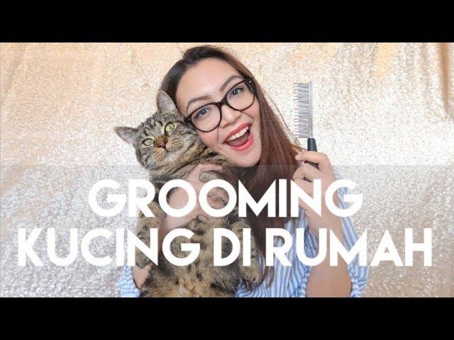 GROOMING KUCING DIRUMAH | MY CATS DIARY #3