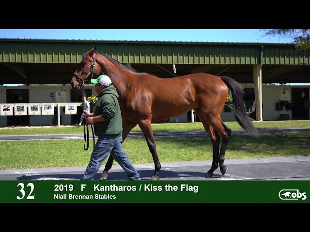 HIP 32 B. F. Kiss the Flag '19 OBS March 2021