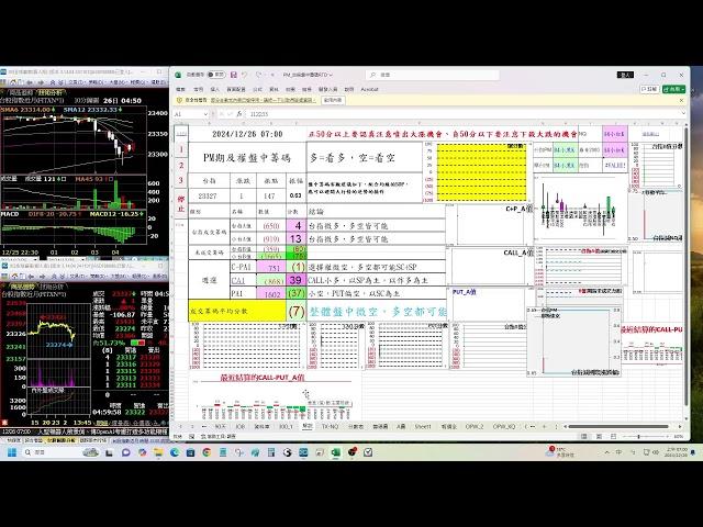 台指盤中籌碼20241225三PM