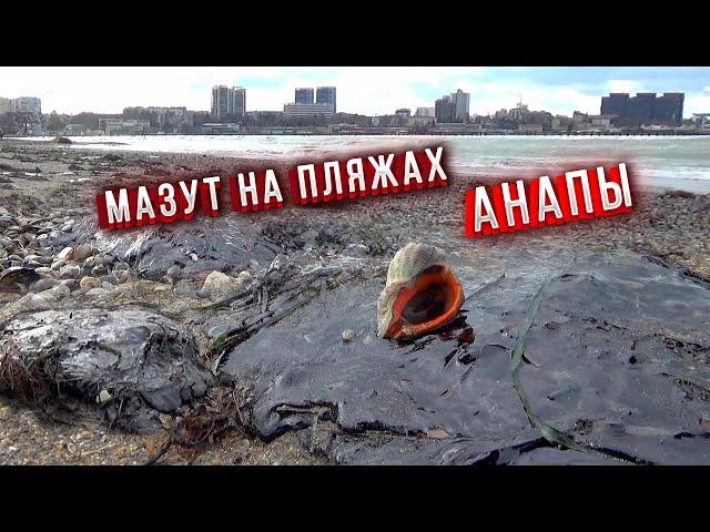 #Анапа. Ужасные последствия. Мазут уже на городском пляже. Обстановка в Анапе