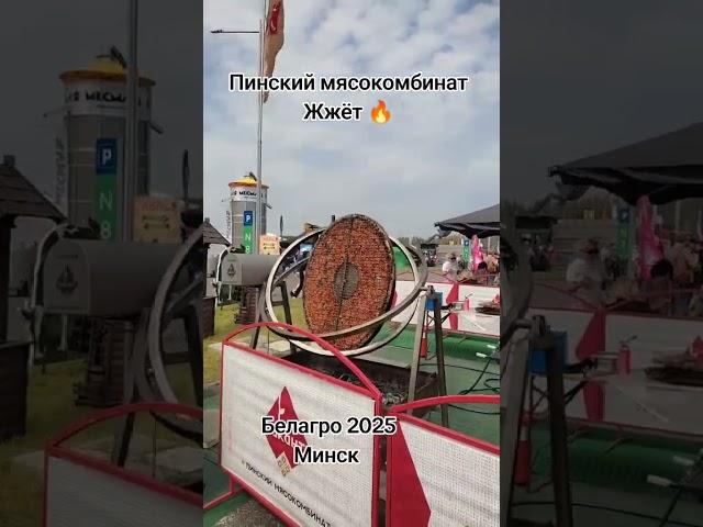 Технология года на Белагро. Беларусь изобрела мясной космос