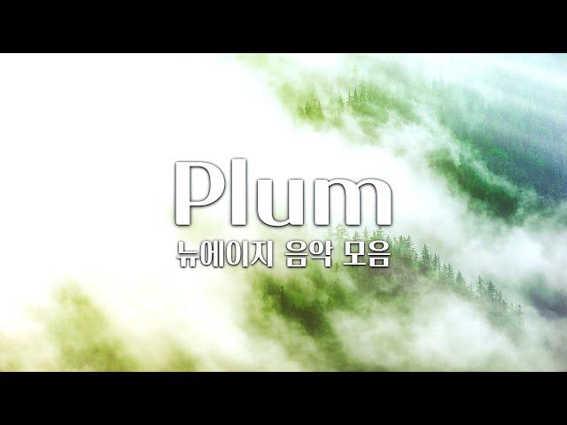 【𝐏𝐥𝐚𝐲𝐥𝐢𝐬𝐭】 감성적인 멜로디의 뉴에이지 음악 모음 / Plum 음악 모음 / 중간광고 X