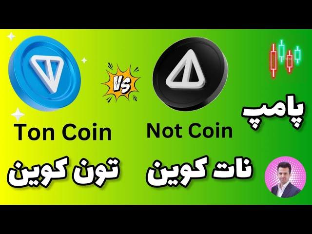 پامپ ارز نات کوین و تون کوین