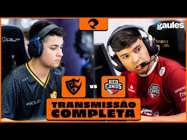 RED CANIDS X SOLID - RES LATAM #4 - Transmissão completa!