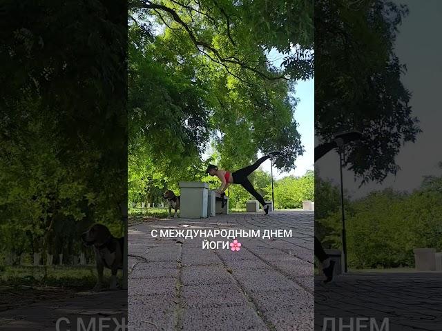 с Днем йоги #йогаонлайн #йогадома #дисциплина