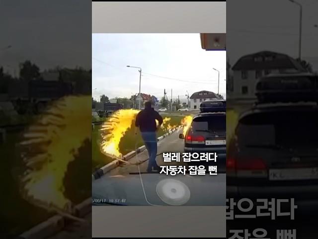 전자담배로 벌레 잡으려다 '화르르' #shorts