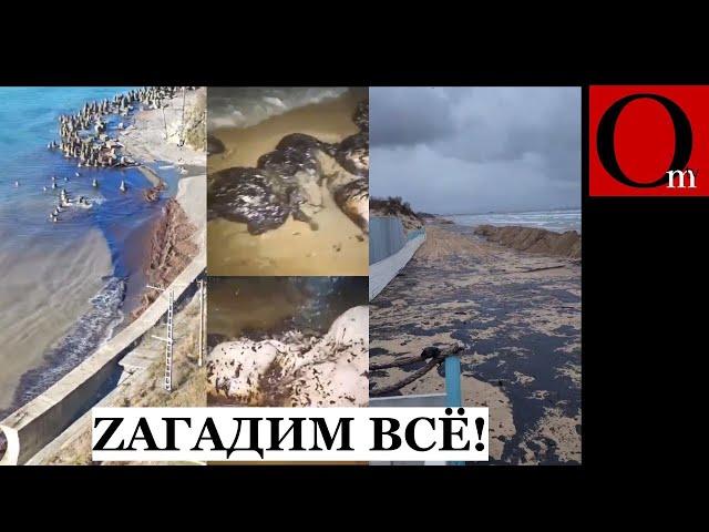 Storm at Anapa coast and repeat oil spill - Putin's officials inactive