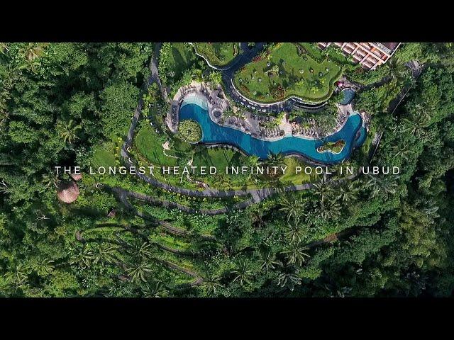 The longest heated infinity pool in Ubud