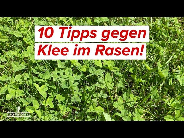 10 Tipps gegen Klee im Rasen | So kannst du Klee bekämpfen & entfernen!