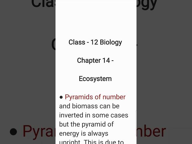 What is Pyramids of number? Class 12 Biology Chapter 14