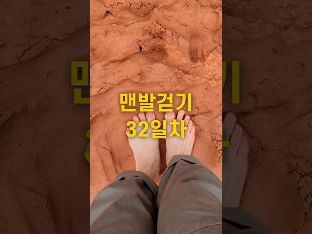 대전 계족산 황톳길  #맨발걷기 하러 왔어요 #맨발 #건강 #5060 #어싱 #계족산 #생로병사의비밀