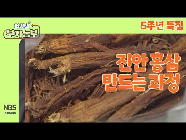 [역전의부자농부 261회] 진안 홍삼 만드는 과정