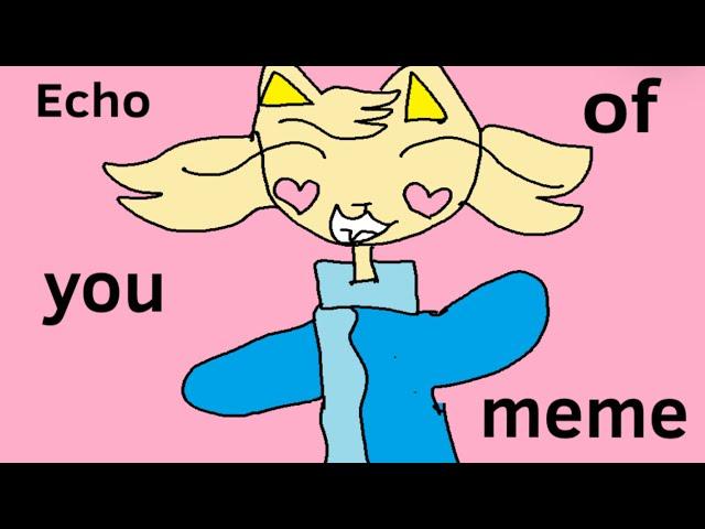 echo of you/ animation meme