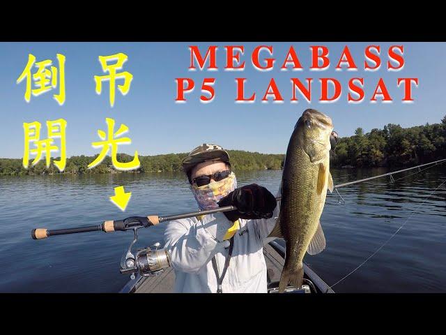 Megabass Destroyer P5 Landsat 倒吊開光！實釣初印象｜Dropshotting with Megabass P5 Landsat: first impression