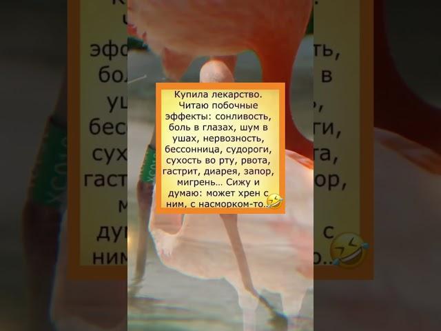 Анекдот дня #настроение #анекдот #прикол #юмор #анекдоты #мем #смех #приколы