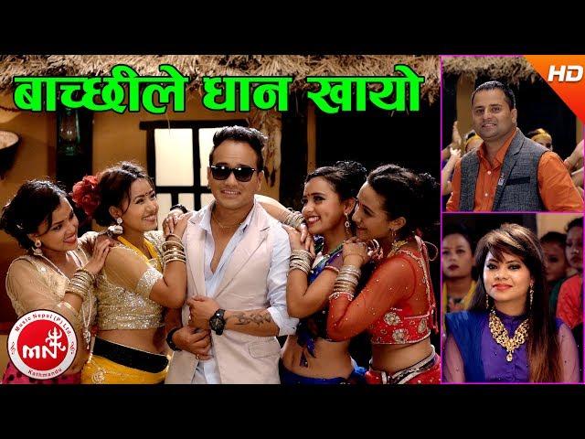 New Typical Jhyure Song | Bachchhile Dhan Khayo - Chandra Sharma & Tika Tarami Magar Ft, Ramji