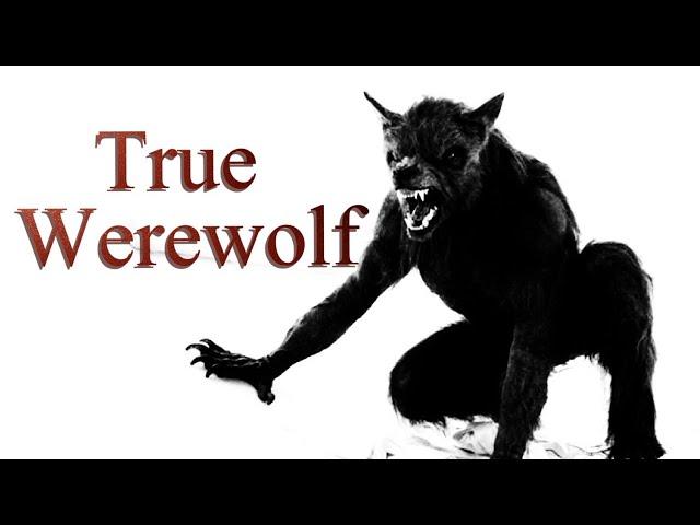 True Scary Stories - A Werewolf  (Ginny Metheral)