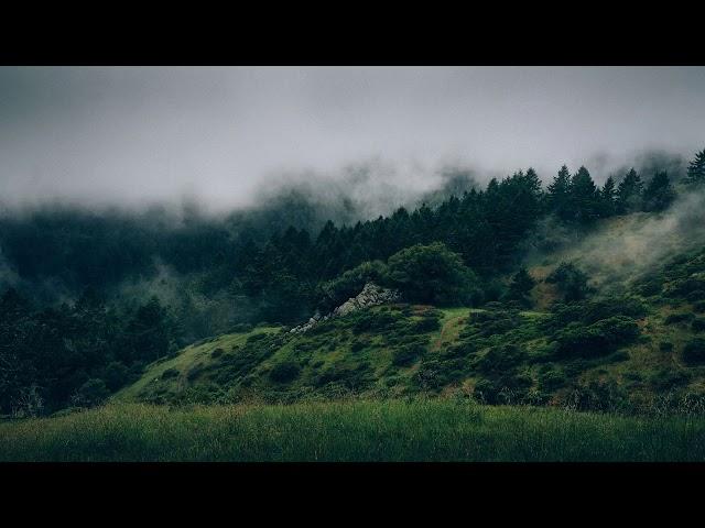 Sleep Music Rain Relaxing Celtic Music with Rain 10 Hours