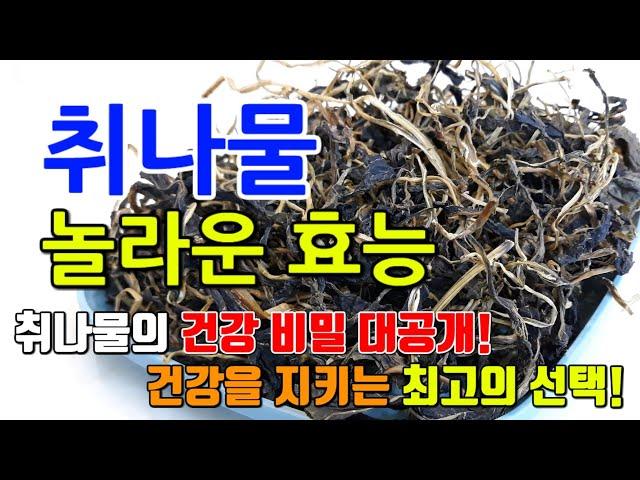 취나물의 놀라운 효능 8가지 & 부작용 / 취나물로 건강하게! : 비타민과 미네랄의 보고 주요 성분과 이점 총정리