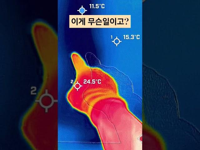 단열 안되는 벽, 열화상 카메라 찍으면?