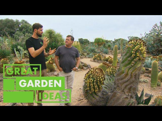 Jason Visits the LARGEST Cactus Collection in Australia | GARDEN | Great Home Ideas