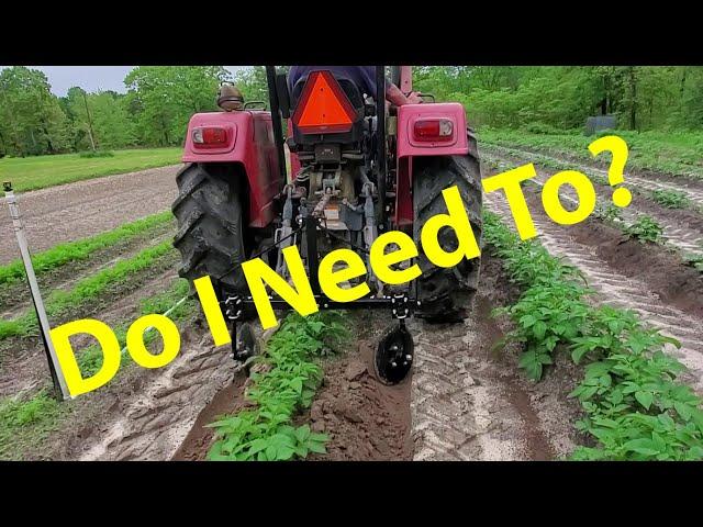 Fertilizing And Hilling Potatoes