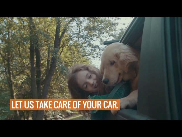 You Have Lots to Care About - Autowerkes