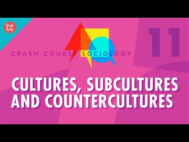 Cultures, Subcultures, and Countercultures: Crash Course Sociology #11